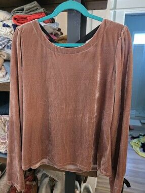 Anthropologie Velvet Long-Sleeve Blouse in Dusty Rose